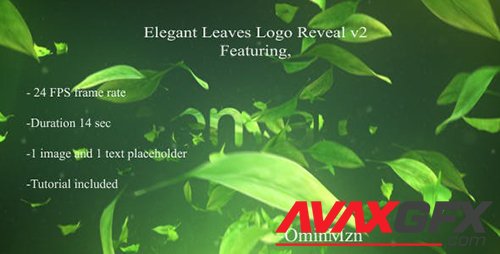 Elegant Leaves Logo Reveal V2 18142899