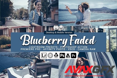CreativeMarket - Blueberry faded Presets 5693268