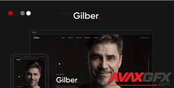 ThemeForest - Gilber v1.0 - Personal CV/Resume WordPress Theme - 29732154