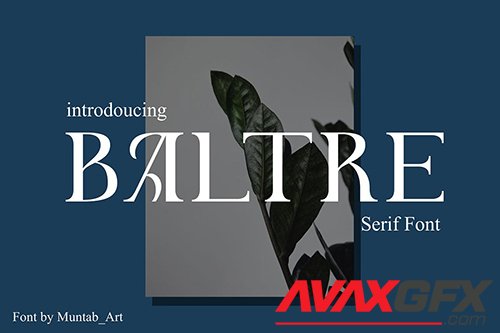 Baltre | Modern Serif Font