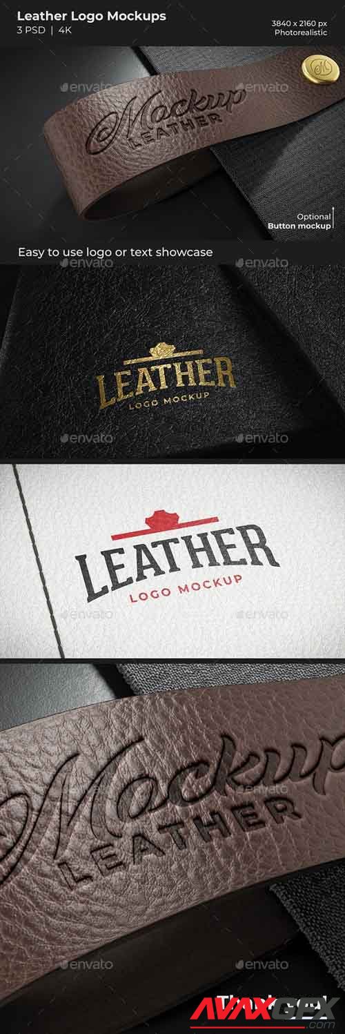 GraphicRiver - Leather Logo Mockups 29703619