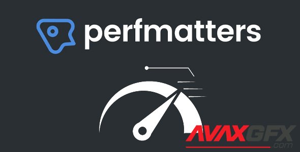 Perfmatters v1.6.6 - Lightweight Performance Plugin - NULLED
