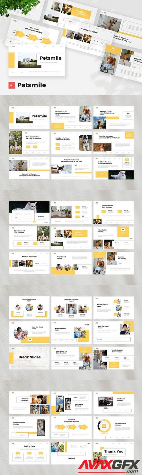 Pet Care & Vetenary Powerpoint, Keynote and Google Slides Template