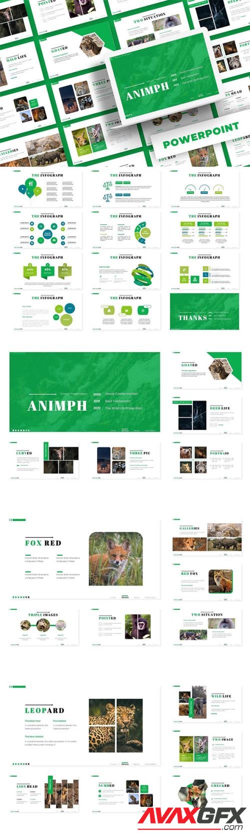 Animph - Powerpoint, Keynote and Google Slides Template
