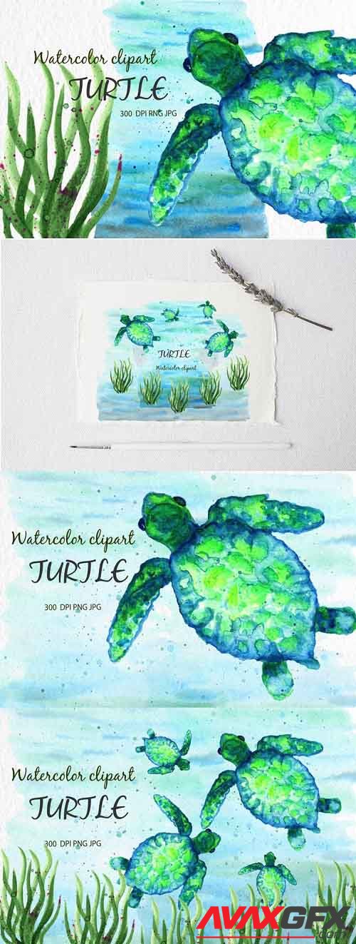 Watercolor clipart, Watercolor turtle. Marine animals - 1184461