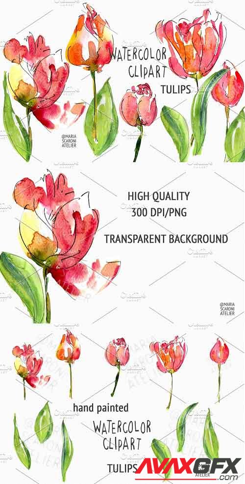 Tulip Watercolor Clipart - 5806767