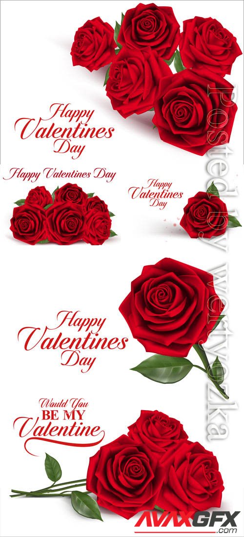 Valentine's day, red roses in vector
