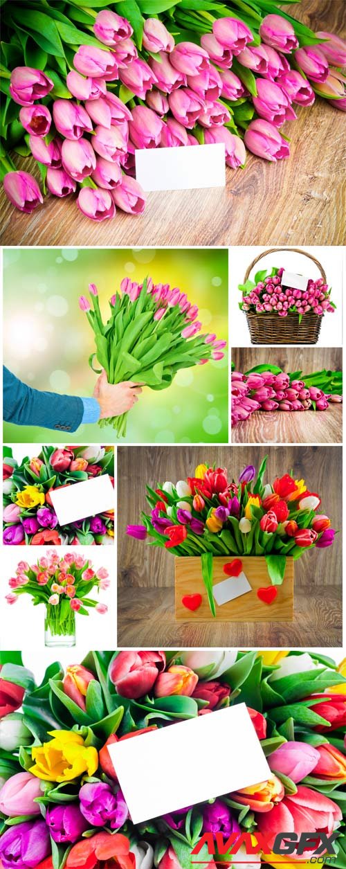Bouquets of colorful tulips stock photo