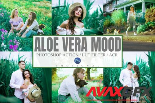 Aloe Vera Mood Photoshop Actions ACR, LUT Presets