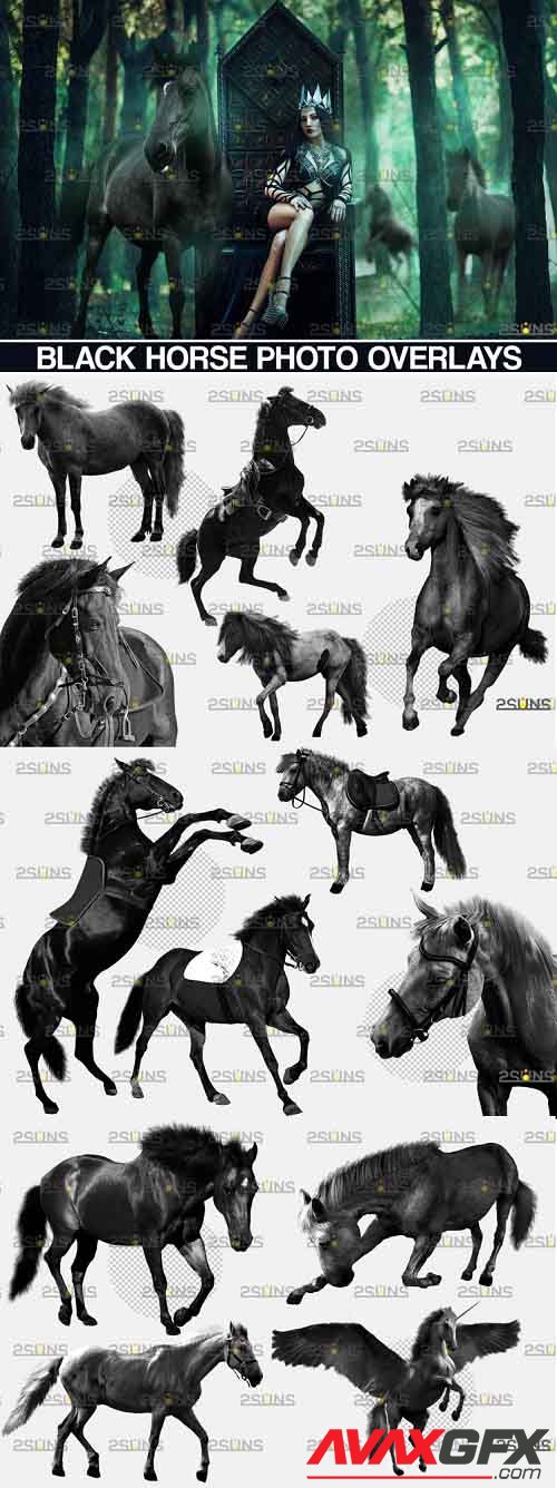 Photoshop overlay Black horse - 1132960
