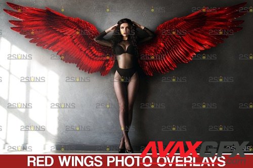 Red Angel Wing overlay & Photoshop overlay - 1132970