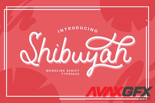 Shibuyah - Monoline Script Typeface Font