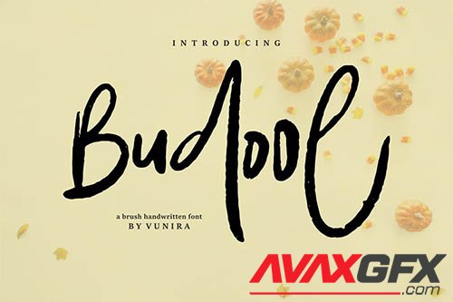 Budool | A Brush Handwritten Font