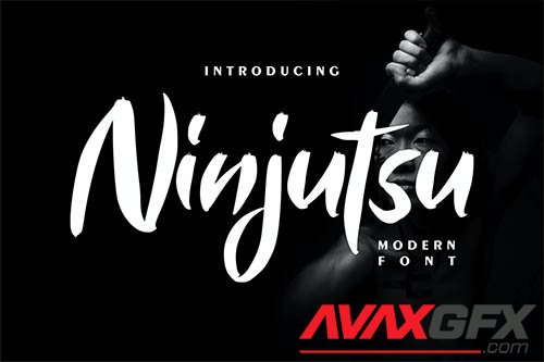 Ninjutsu | Modern Font