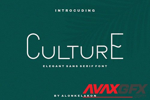 Culture Sans Serif Font