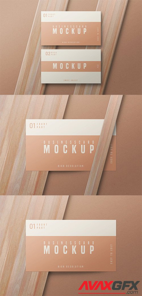 Business Card Mockup - Vol 08