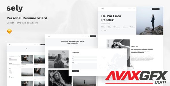 ThemeForest - Sely v1.0.0 - Personal Resume vCard Sketch Template - 25697281