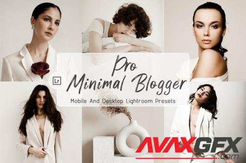 10 Pro Minimal Blogger Desktop And Mobile Presets - 1240699