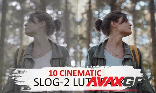 10 Cinematic Slog-2 Luts - 5525741