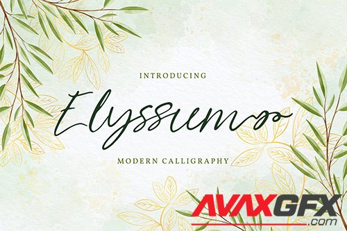 Elyssum | Modern Calligraphy Font