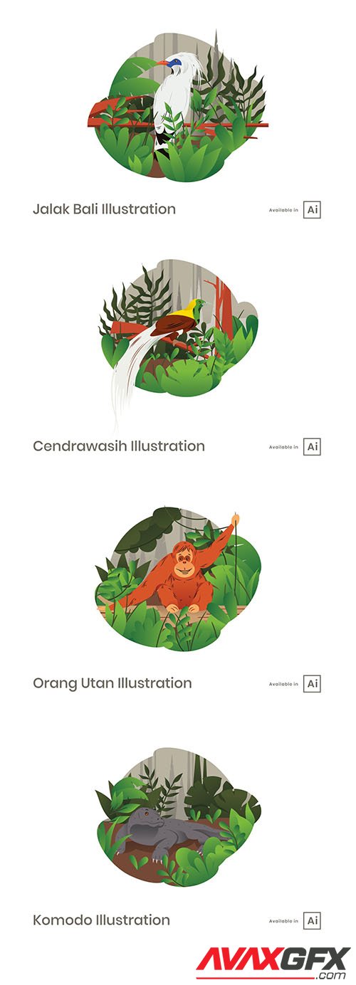 Beautiful animals illustrations
