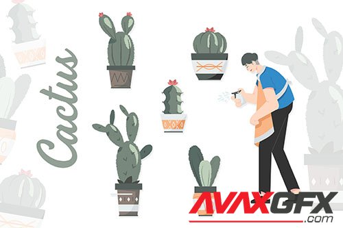 Cactus illustrations set