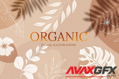 Organic Floral Illustrations