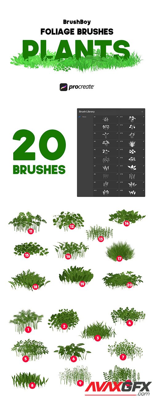 Procreate Foliage Brushes - Plants