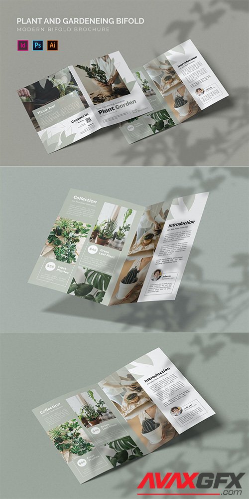 Plant And Gardening - Bifold Brochure