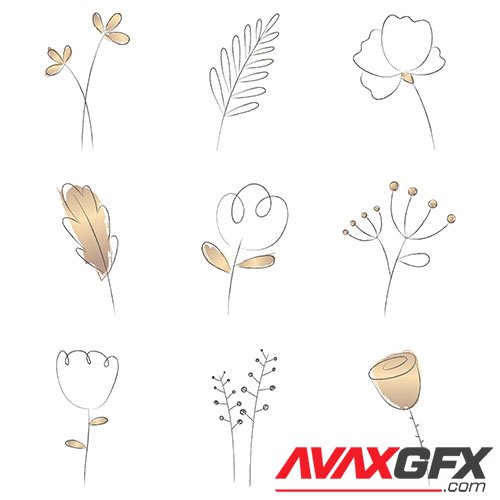 Collection of flower logo png