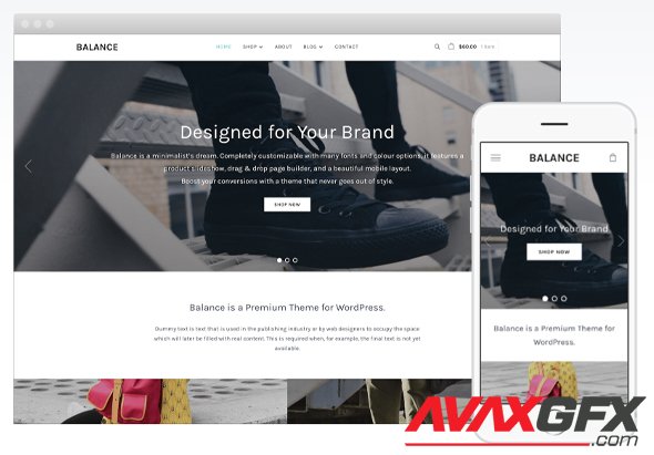 WPZoom - Balance v2.0.5 - eCommerce / Business WordPress Theme