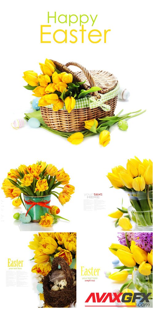 Yellow tulips, easter composition stock photo