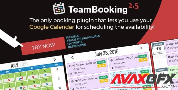 CodeCanyon - Team Booking v2.5.8 - WordPress booking system - 9211794