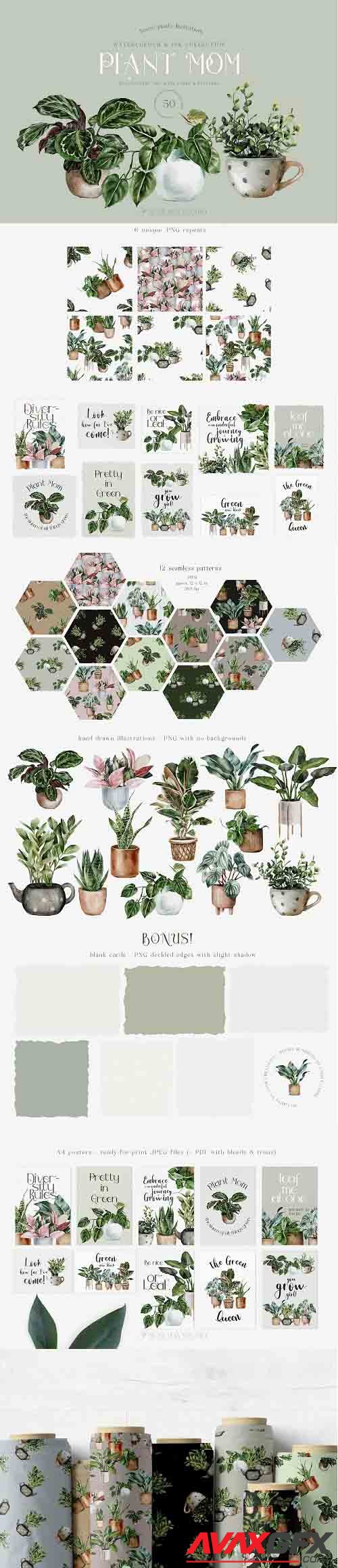 House Plants Illustrations and Patterns Big Collection - 1311192