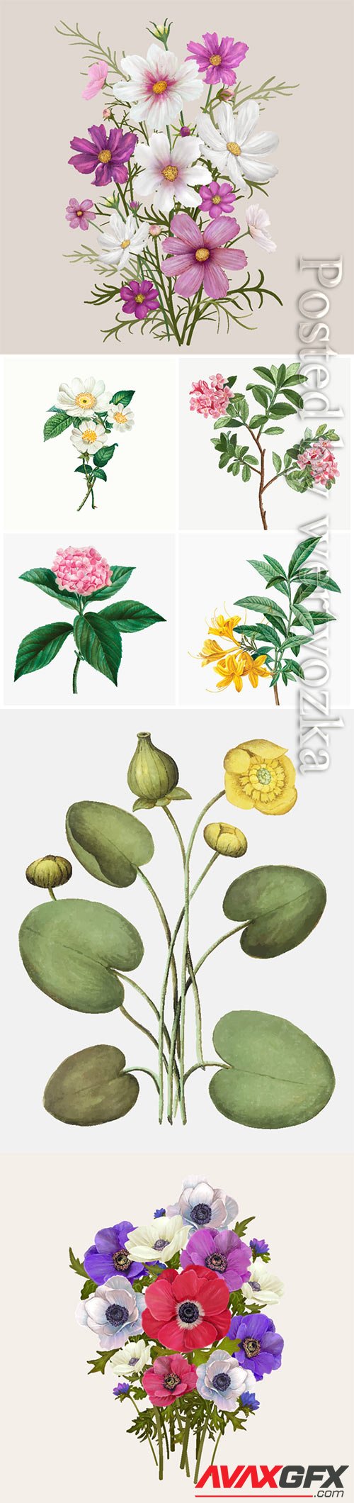 Vector different flowers