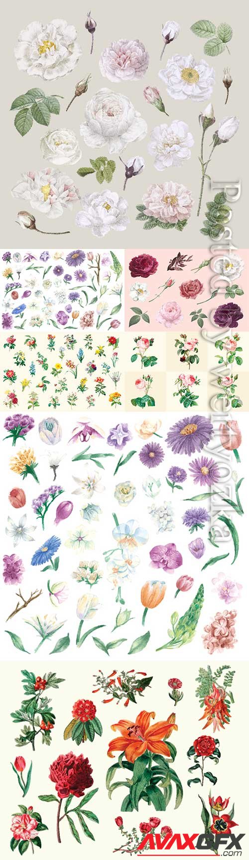 Drawn vector different flowers