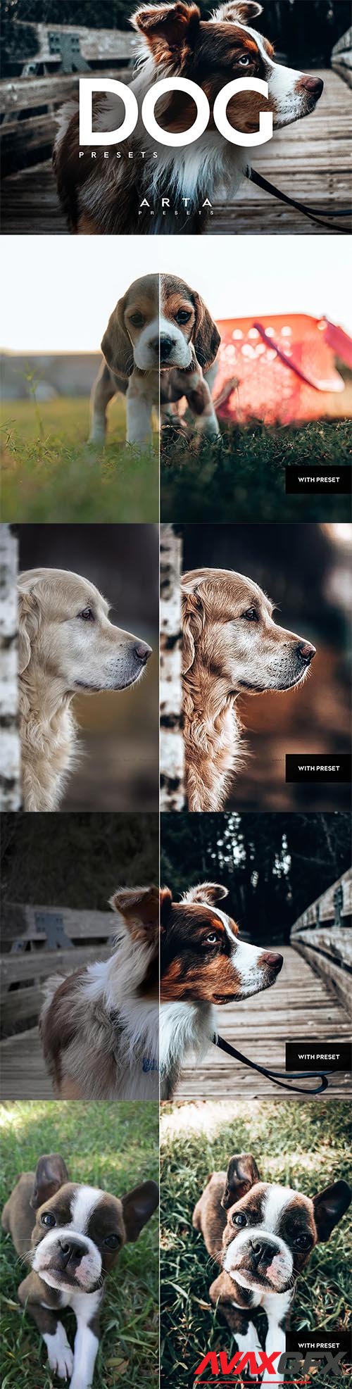 ARTA Dogs Presets For Mobile and Desktop