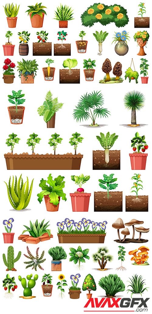 Set of different plants pots isolated