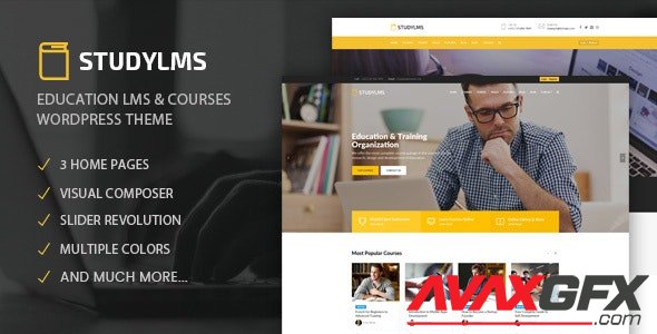 ThemeForest - Studylms v1.20 - Education LMS & Courses WordPress Theme - 20192990