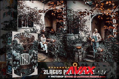 PRO Presets - V 17 - Photoshop & Lightroom