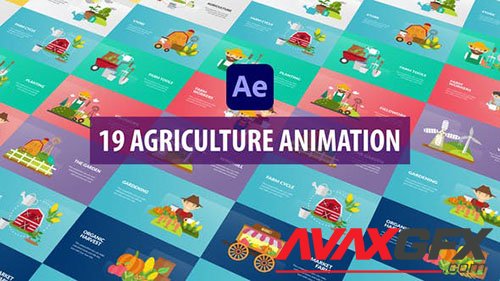 Agriculture Animation | After Effects 31482679