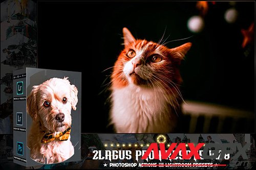 PRO Presets - V 28 - Photoshop & Lightroom