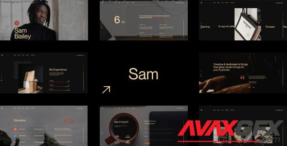 ThemeForest - SamBailey v1.0 - Personal CV/Resume HTML Template - 31776053