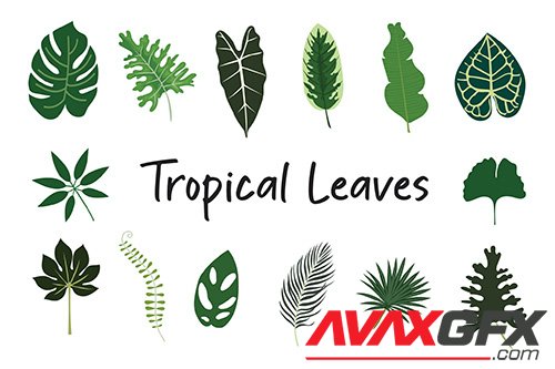 Tropical Leaves Hand Drawn