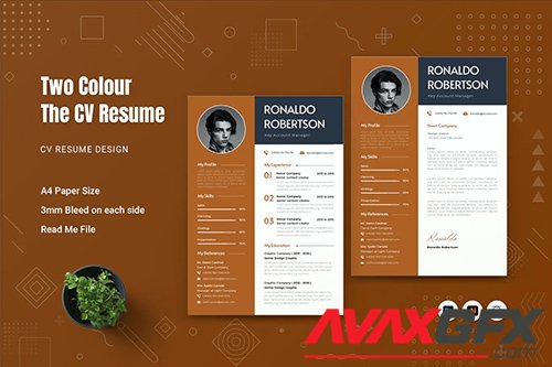 Two Colour CV Resume