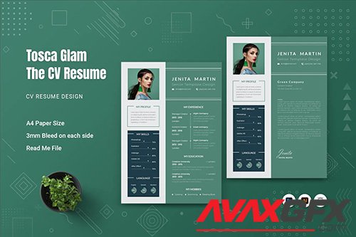 Tosca Glam CV Resume