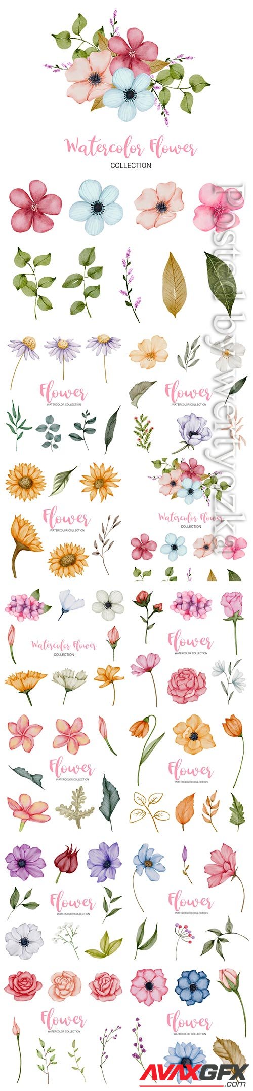 Set of beautiful vector flowers in watercolor style