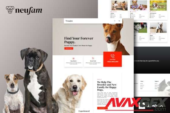 ThemeForest - NeuFam v1.0.0 - Dog Breeder Kennel Club Elementor Template Kit - 31865525