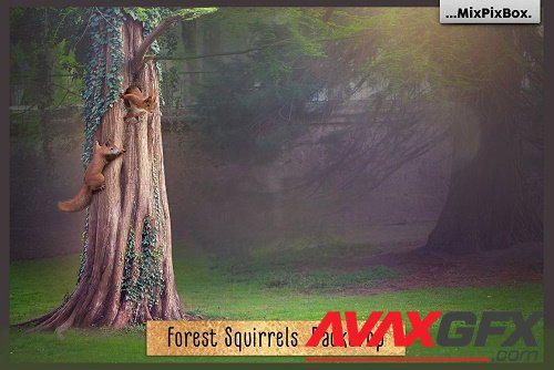 Forest Squirrels Backdrop - 6120189