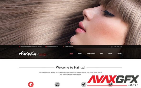 Hairlux v3.1.5 - Hair Transplantation WordPress Theme - TM 51318